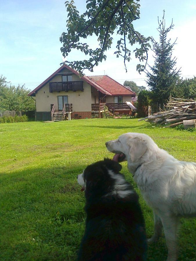 Agroturystyka Sielana Kostrzyca Exterior foto